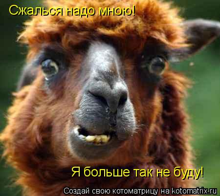 Сжалься надо мною! Я больше так не буду!... Котоматрица: Сжалься надо мною! Я больше так не буду!