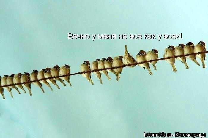 Вечно у меня не все как у всех!... Котоматрица: Вечно у меня не все как у всех!