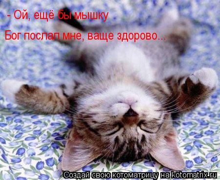 - Ой, ещё бы мышку Бог послал мне, ваще здорово...... Котоматрица: - Ой, ещё бы мышку Бог послал мне, ваще здорово...