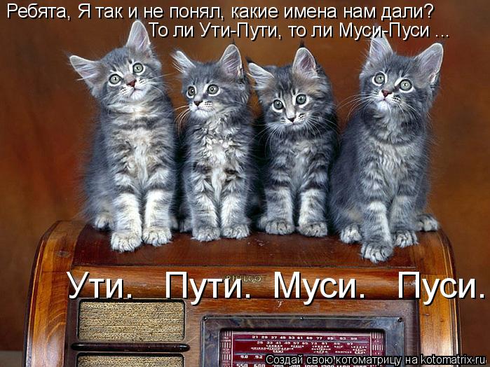 Ребята, Я так и не понял, какие имена нам дали? То ли Ути-Пути, то ли Муси-Пуси ... Ути. Пути. Мус... Котоматрица: Ребята, Я так и не понял, какие имена нам дали? То ли Ути-Пути, то ли Муси-Пуси ... Ути. Пути. Муси. Пуси.