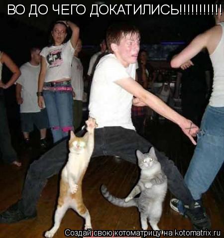 ВО ДО ЧЕГО ДОКАТИЛИСЬ!!!!!!!!!!!... Котоматрица: ВО ДО ЧЕГО ДОКАТИЛИСЬ!!!!!!!!!!!