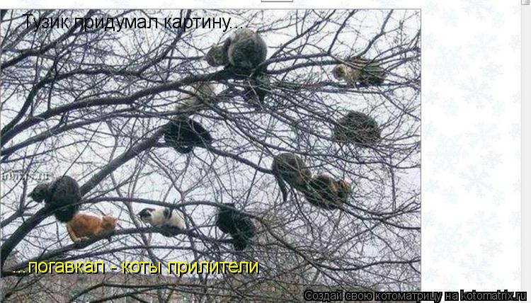 Тузик придумал картину... ...погавкал - коты прилители... Котоматрица: Тузик придумал картину... ...погавкал - коты прилители
