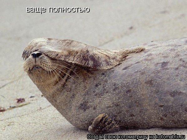 ваще полностью... Котоматрица: ваще полностью