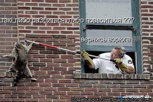 Котоматрица: вернись ворюга !!!!! так! либо ра3биться, либо повеситься ???