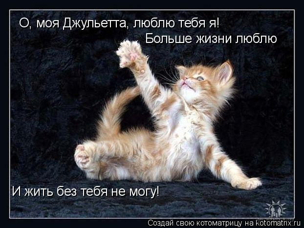 О, моя Джульетта, люблю тебя я! Больше жизни люблю И жить без тебя не могу!... Котоматрица: О, моя Джульетта, люблю тебя я! Больше жизни люблю И жить без тебя не могу!