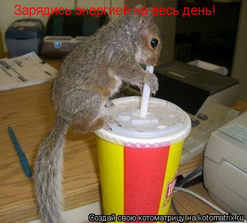 Зарядись энергией на весь день!... Котоматрица: Зарядись энергией на весь день!