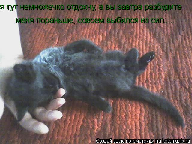 меня пораньше, совсем выбился из сил..... я тут немножечко отдохну, а вы завтра разбудите... Котоматрица: меня пораньше, совсем выбился из сил..... я тут немножечко отдохну, а вы завтра разбудите