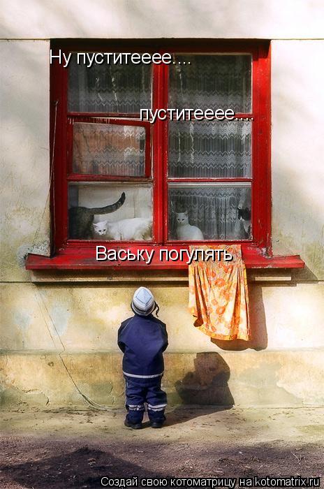 Ну пуститееее.... пуститееее.... Ваську погулять... Котоматрица: Ну пуститееее.... пуститееее.... Ваську погулять