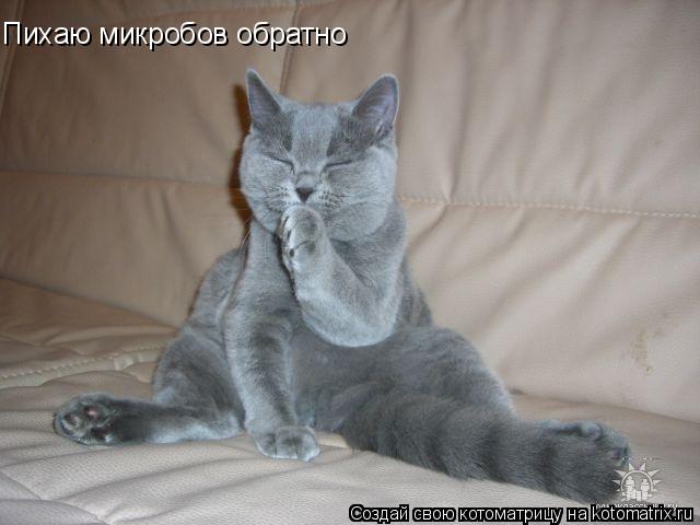 Пихаю микробов обратно... Котоматрица: Пихаю микробов обратно