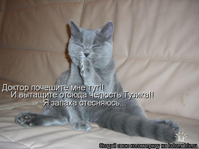 Доктор почешите мне тут!! И вытащите отсюда челюсть Тузика!! Я запаха стесняюсь...... Котоматрица: Доктор почешите мне тут!! И вытащите отсюда челюсть Тузика!! Я запаха стесняюсь...
