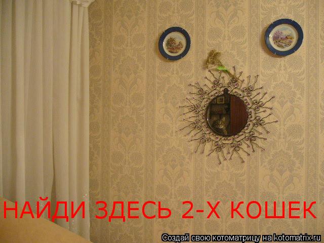 НАЙДИ ЗДЕСЬ 2-Х КОШЕК... Котоматрица: НАЙДИ ЗДЕСЬ 2-Х КОШЕК
