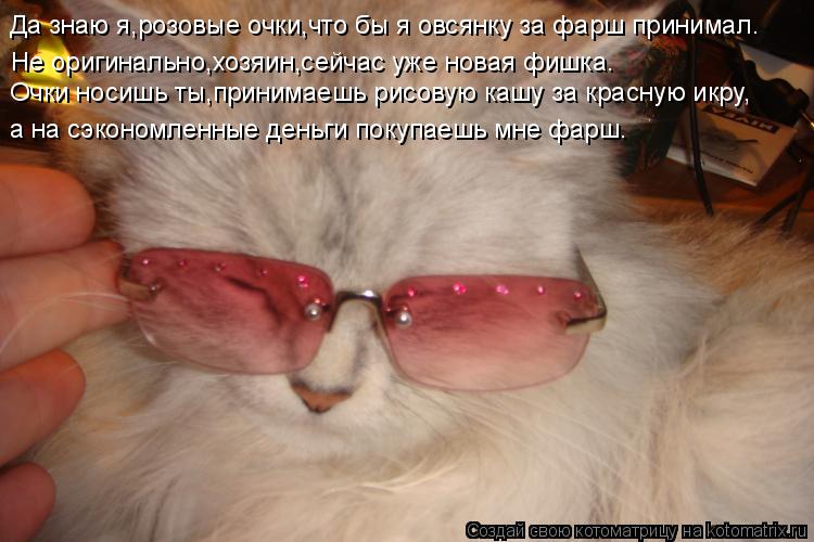 Не оригинально,хозяин,сейчас уже новая фишка. Да знаю я,розовые очки,что бы я овсянку за фарш принима... Котоматрица: Не оригинально,хозяин,сейчас уже новая фишка. Да знаю я,розовые очки,что бы я овсянку за фарш принимал. Очки носишь ты,принимаешь рисовую ка