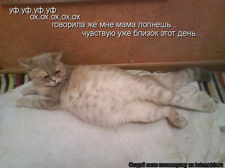 уф,уф,уф,уф ох,ох,ох,ох,ох говорила же мне мама лопнешь... чувствую уже близок этот день...... Котоматрица: уф,уф,уф,уф ох,ох,ох,ох,ох говорила же мне мама лопнешь... чувствую уже близок этот день...