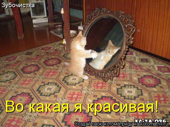 Зубочистка Во какая я красивая!... Котоматрица: Зубочистка Во какая я красивая!