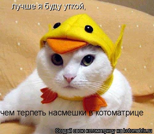 лучше я буду уткой, чем терпеть насмешки в котоматрице... Котоматрица: лучше я буду уткой, чем терпеть насмешки в котоматрице