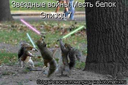 Звёздные войны:Месть белок Эпизод 7... Котоматрица: Звёздные войны:Месть белок Эпизод 7