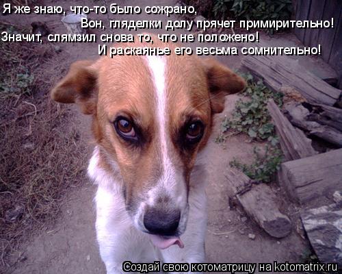 Я же знаю, что-то было сожрано, Вон, гляделки долу прячет примирительно! Значит, слямзил снова то, ... Котоматрица: Я же знаю, что-то было сожрано, Вон, гляделки долу прячет примирительно! Значит, слямзил снова то, что не положено! И раскаянье его весьма со