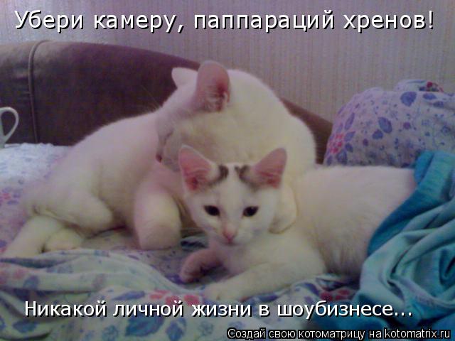 Убери камеру, паппараций хренов! Никакой личной жизни в шоубизнесе...... Котоматрица: Убери камеру, паппараций хренов! Никакой личной жизни в шоубизнесе...