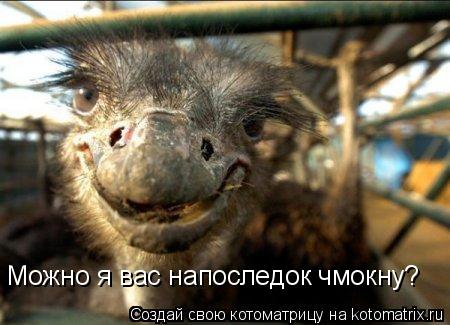 Можно я вас напоследок чмокну?... Котоматрица: Можно я вас напоследок чмокну?