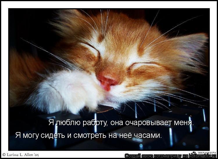 Я люблю работу, она очаровывает меня. Я могу сидеть и смотреть на неё часами.... Котоматрица: Я люблю работу, она очаровывает меня. Я могу сидеть и смотреть на неё часами.