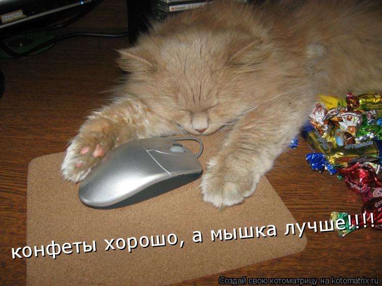 Котоматрица: конфеты хорошо, а мышка лучше!!!!