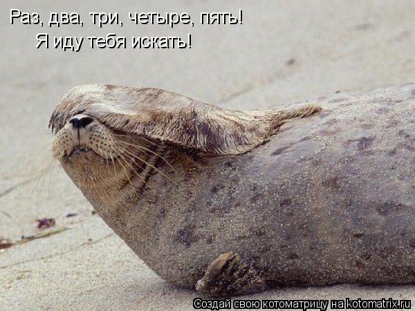 Раз, два, три, четыре, пять! Я иду тебя искать!... Котоматрица: Раз, два, три, четыре, пять! Я иду тебя искать!