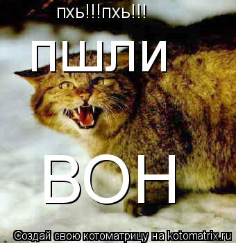 пхь!!!пхь!!! пшли ВОН... Котоматрица: пхь!!!пхь!!! пшли ВОН