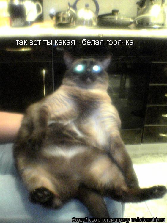 так вот ты какая - белая горячка... Котоматрица: так вот ты какая - белая горячка