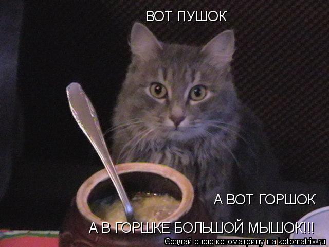 ВОТ ПУШОК А ВОТ ГОРШОК А В ГОРШКЕ БОЛЬШОЙ МЫШОК!!!... Котоматрица: ВОТ ПУШОК А ВОТ ГОРШОК А В ГОРШКЕ БОЛЬШОЙ МЫШОК!!!