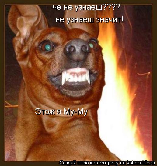 че не узнаеш???? не узнаеш значит! Этож я Му-Му... Котоматрица: че не узнаеш???? не узнаеш значит! Этож я Му-Му