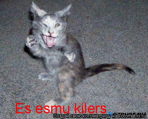 Es esmu kilers... Котоматрица: Es esmu kilers