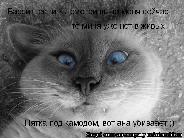 Барсик, если ты смотришь на меня сейчас то миня уже нет в живых Пятка под камодом, вот ана убиваает ;... Котоматрица: Барсик, если ты смотришь на меня сейчас то миня уже нет в живых Пятка под камодом, вот ана убиваает ;)