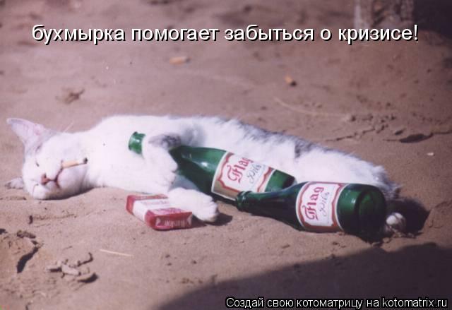бухмырка помогает забыться о кризисе!... Котоматрица: бухмырка помогает забыться о кризисе!