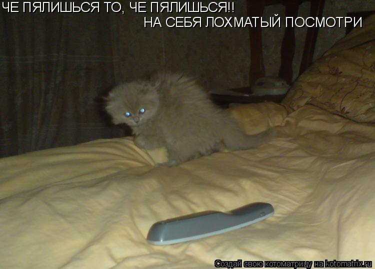 Котоматрица: ЧЕ ПЯЛИШЬСЯ ТО, ЧЕ ПЯЛИШЬСЯ!! НА СЕБЯ ЛОХМАТЫЙ ПОСМОТРИ