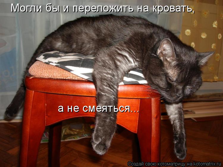 а не смеяться... Могли бы и переложить на кровать,... Котоматрица: а не смеяться... Могли бы и переложить на кровать,