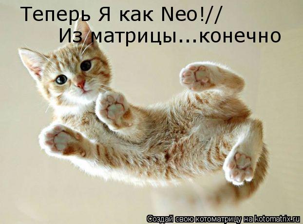Теперь Я как Neo!// Из матрицы...конечно... Котоматрица: Теперь Я как Neo!// Из матрицы...конечно