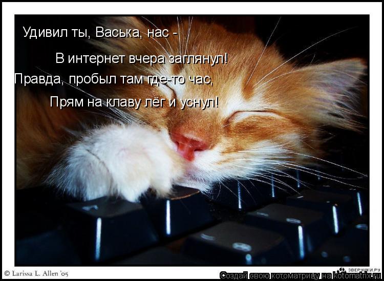 Удивил ты, Васька, нас - В интернет вчера заглянул! Правда, пробыл там где-то час, Прям на клаву лёг... Котоматрица: Удивил ты, Васька, нас - В интернет вчера заглянул! Правда, пробыл там где-то час, Прям на клаву лёг и уснул!