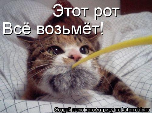 Этот рот Всё возьмёт!... Котоматрица: Этот рот Всё возьмёт!