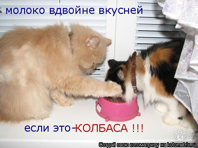 молоко вдвойне вкусней если это- КОЛБАСА !!!... Котоматрица: молоко вдвойне вкусней если это- КОЛБАСА !!!