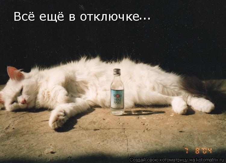 Всё ещё в отключке ...... Котоматрица: Всё ещё в отключке ...