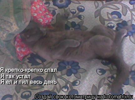 Я крепко-крепко спал Я так устал Я ел и пил весь день... Котоматрица: Я крепко-крепко спал Я так устал Я ел и пил весь день