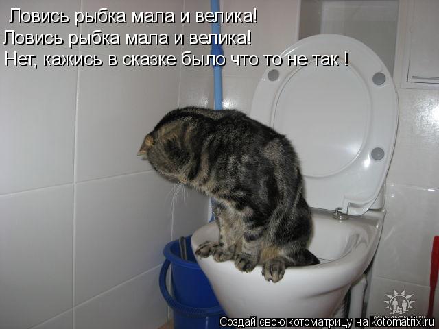Ловись рыбка мала и велика! Ловись рыбка мала и велика! Нет, кажись в сказке было что то не так !... Котоматрица: Ловись рыбка мала и велика! Ловись рыбка мала и велика! Нет, кажись в сказке было что то не так !