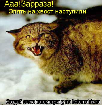 Ааа!Зарраза! Опять на хвост наступили!... Котоматрица: Ааа!Зарраза! Опять на хвост наступили!