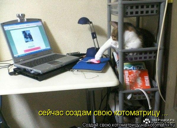 сейчас создам свою котоматрицу ...... Котоматрица: сейчас создам свою котоматрицу ...