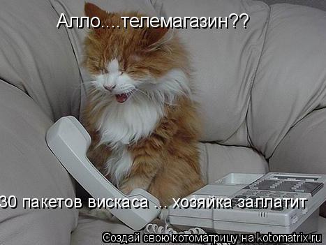 Котоматрица: Алло....телемагазин??  30 пакетов вискаса ... хозяйка заплатит