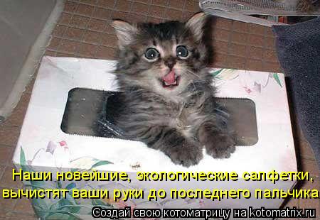 Наши новейшие, экологические салфетки, вычистят ваши руки до последнего пальчика!... Котоматрица: Наши новейшие, экологические салфетки, вычистят ваши руки до последнего пальчика!
