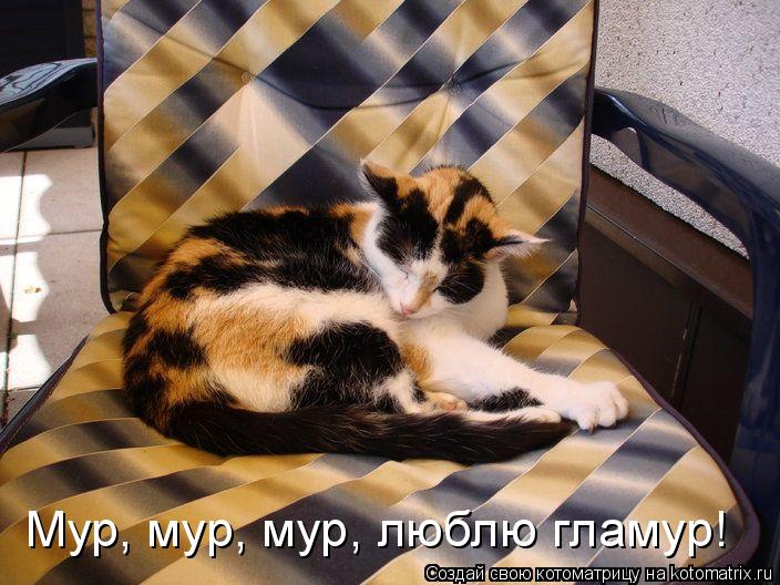 Мур, мур, мур, люблю гламур!... Котоматрица: Мур, мур, мур, люблю гламур!