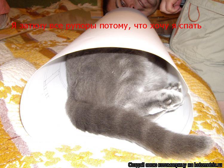 Я заткну все рупоры потому, что хочу я спать... Котоматрица: Я заткну все рупоры потому, что хочу я спать