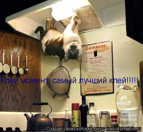 Клей момент, самый лучший клей!!!!!... Котоматрица: Клей момент, самый лучший клей!!!!!