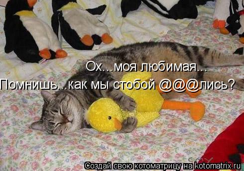 Ох...моя любимая... Помнишь...как мы стобой @@@лись?... Котоматрица: Ох...моя любимая... Помнишь...как мы стобой @@@лись?